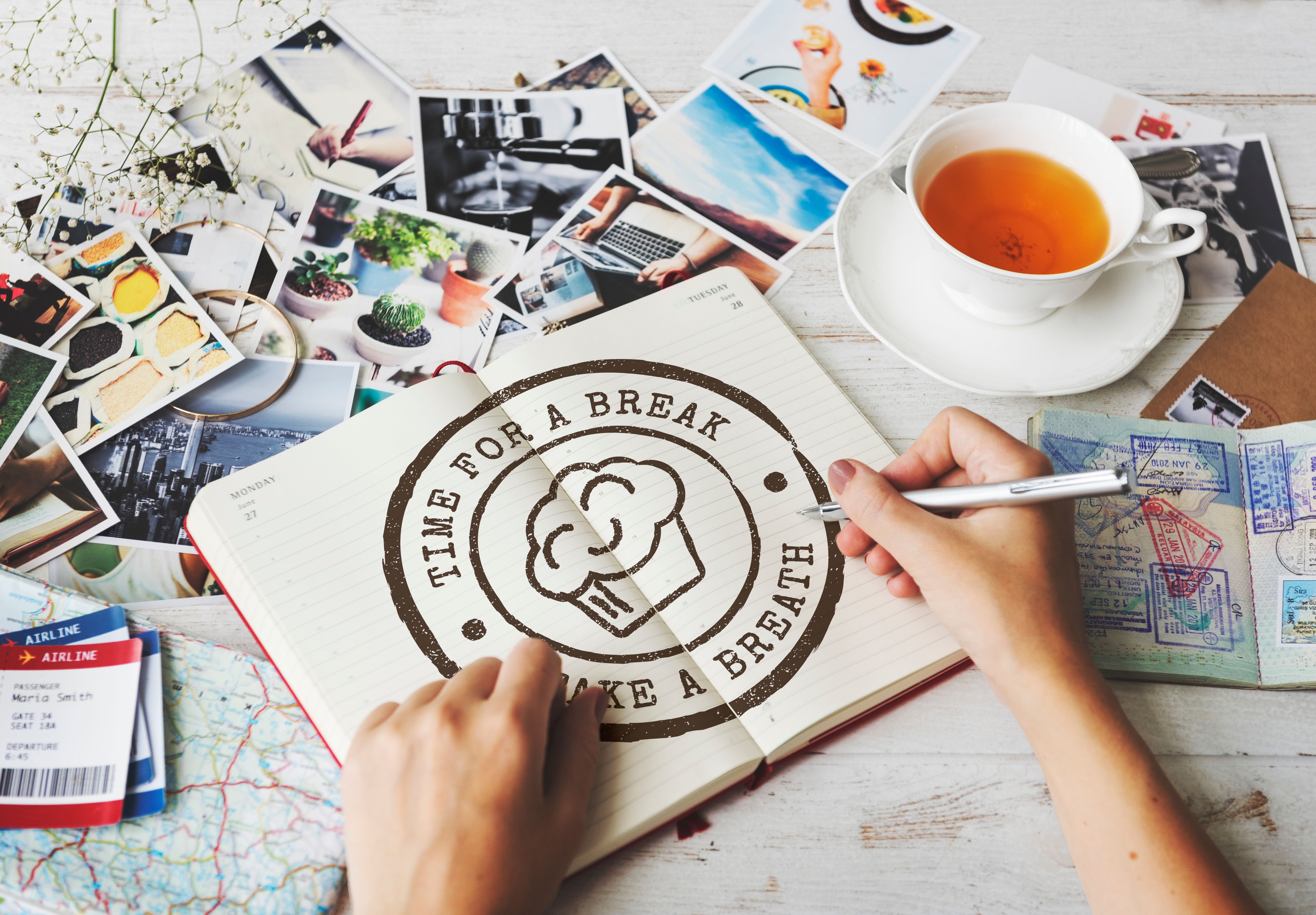 Brand Mark and Icon Suites